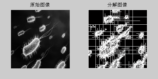 v2-553a1833985cc101987ae66ffb54099c_b.jpg