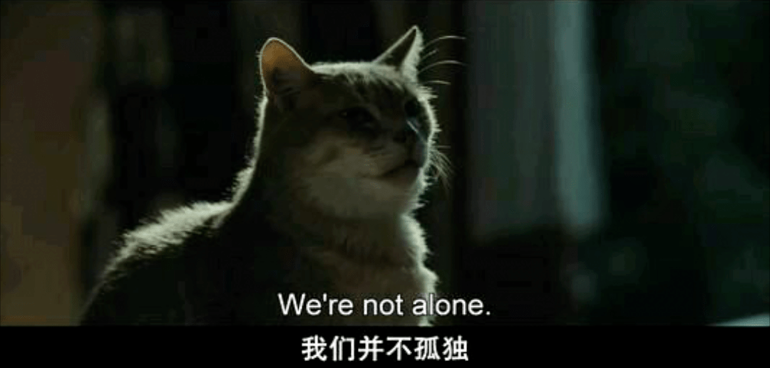 81d6d0be515e6668174289d0e74c3b3e.png