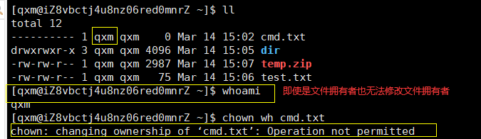 image-20230314175512555