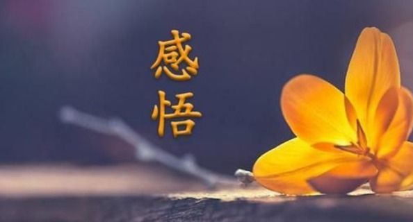 8656b1b2765c112da9820e646d9d2c16.jpeg