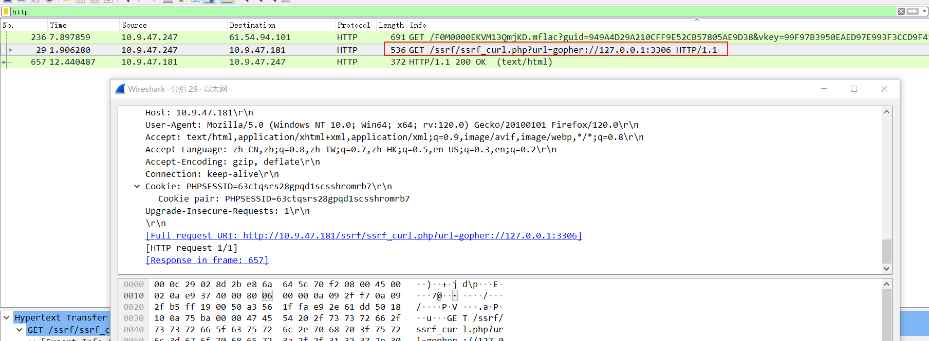 image-20231209155142006