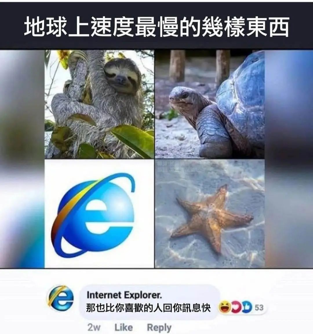 d7f8cbeadc1115de84e598a6687c2395.png