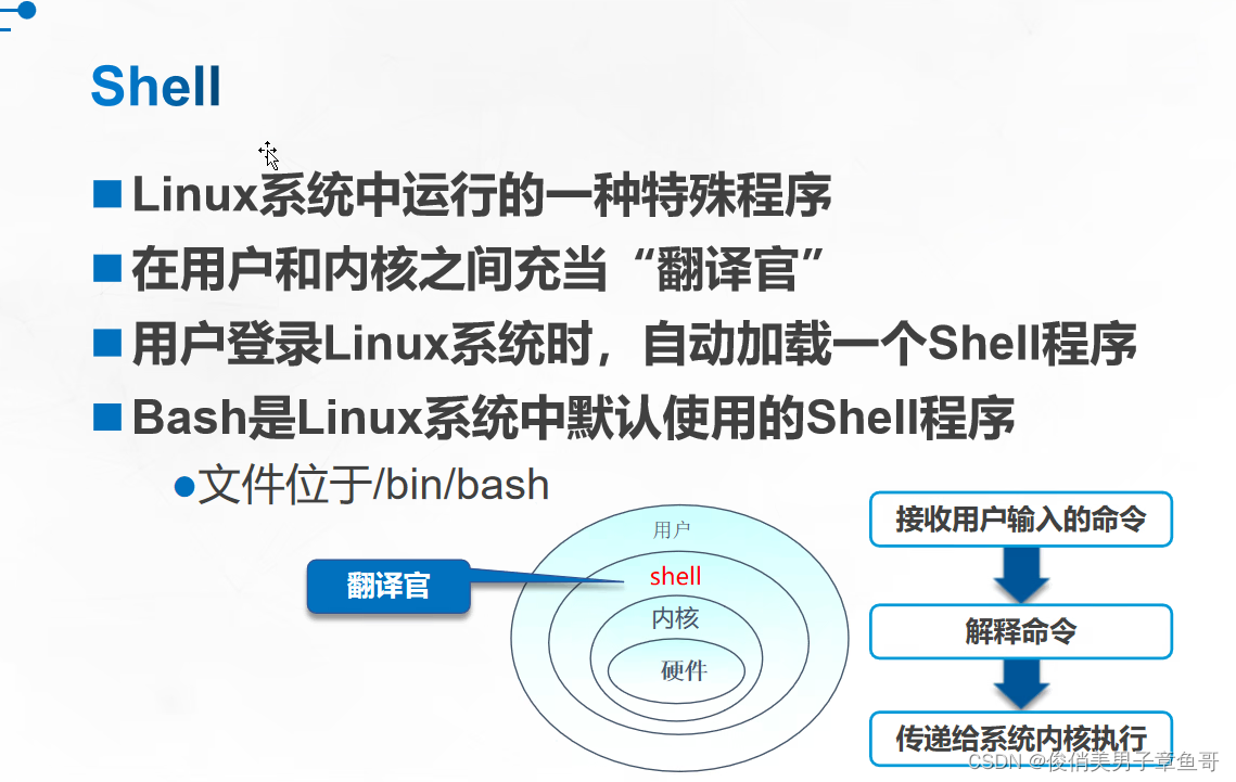 Linux基础命令详解:操作、目录、文件管理与系统信息查看-CSDN博客