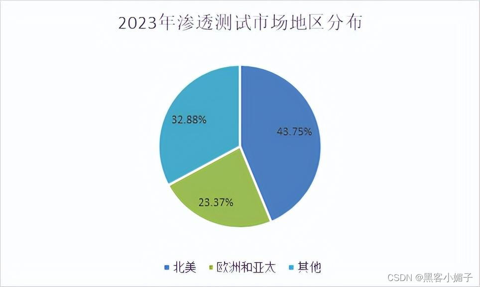 渗透测试实地培训_渗透测试培训_培训渗透测试内容
