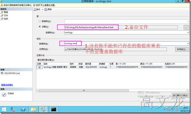 clip_p_w_picpath006