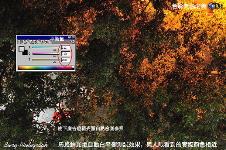 [转载]自动白平衡基本原理与应用实例看图说话(转载)