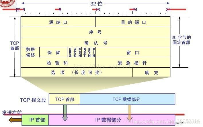 TCP报文段