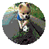 75209dbe3e36b5f87988497b093220a6.gif
