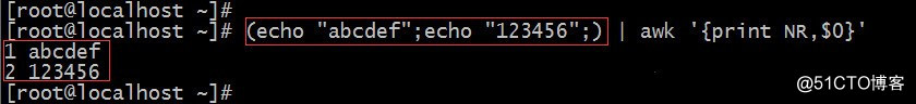 Linux中的括号用法