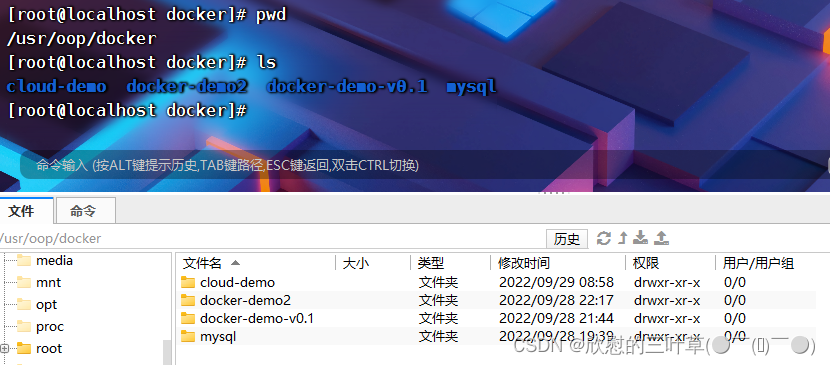 在这里插入图片描述