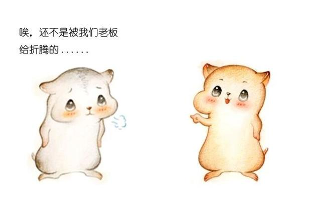 漫画：什么是中台？