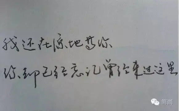 442158-d08d6296d71ebf85