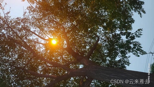 你说，这像太阳吗？