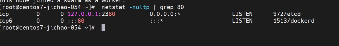Day23-swarm _centos_11