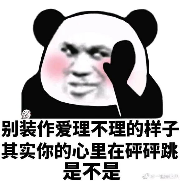 除了 P站,程序员摸鱼还喜欢上哪些网站.