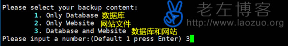 备份数据库、网站选项