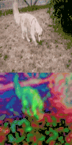 640?wx_fmt=gif