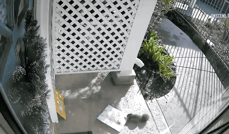 5da71b1fe2befb39681641692273c225.gif