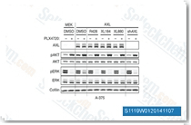 5427f0367ff1695c53f882c3cb54840c.gif