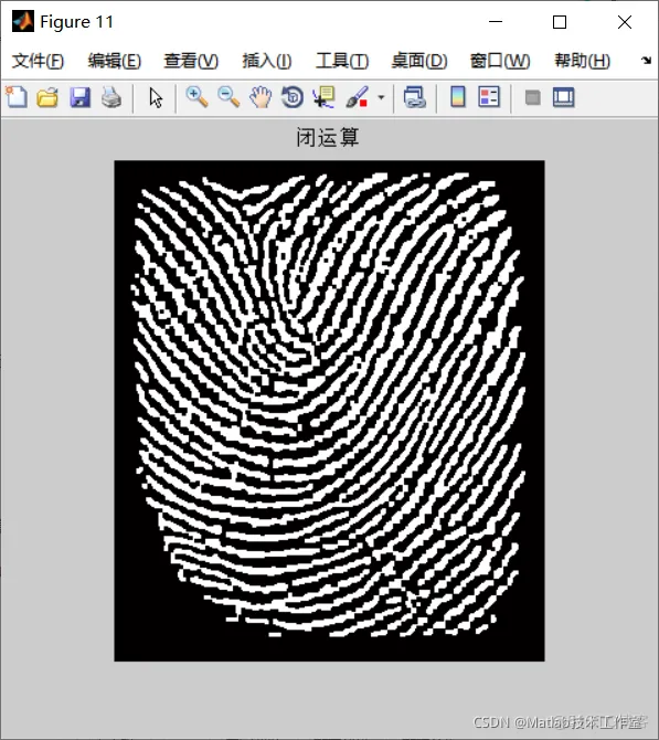 【图像识别】基于形态学实现指纹特征提取matlab源码_matlab_14