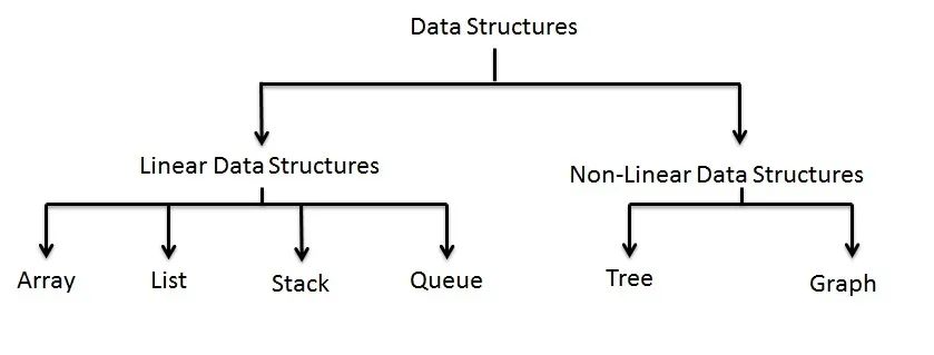 探索Polytree数据结构：概念、应用与特性-CSDN博客