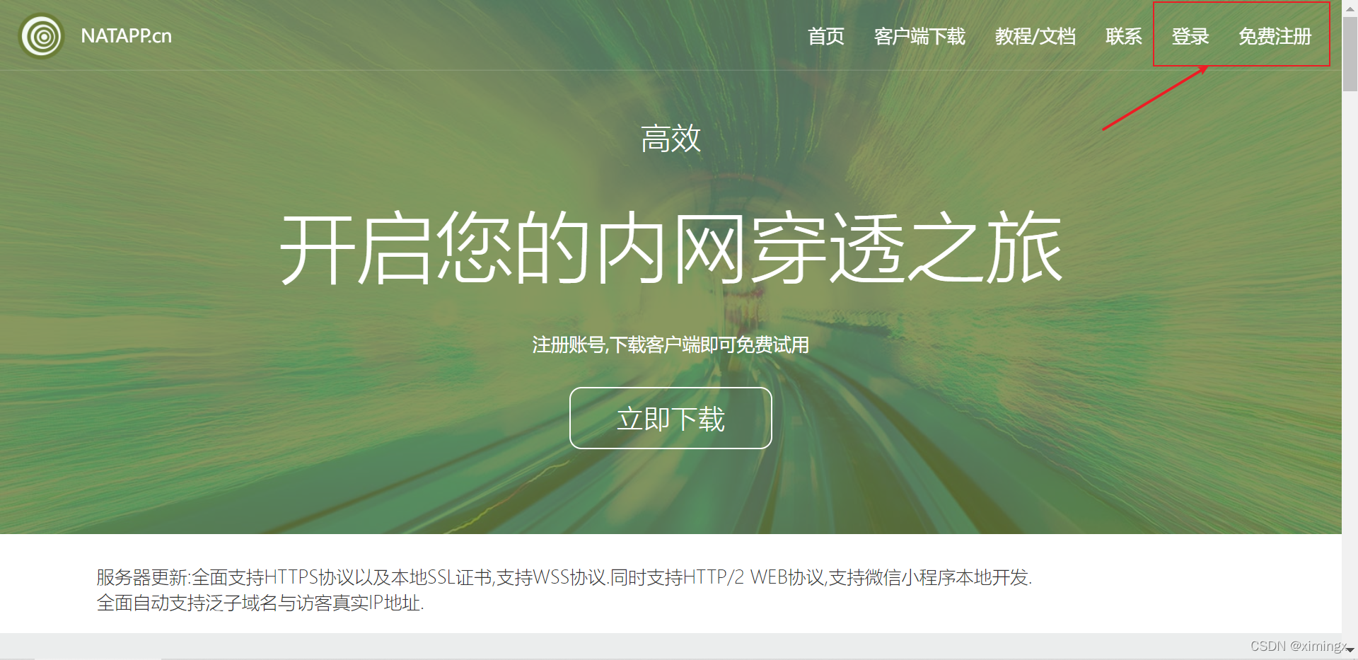 在这里插入图片描述