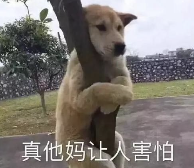 2cae94b4aa6956f11cbd06b31ee44995.png