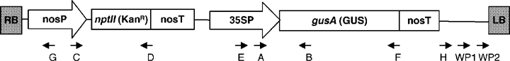 1970e2ed268721a5ad13b625574b8777.png