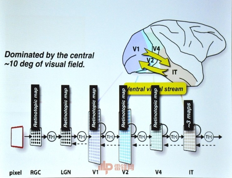 殊途同归还是渐行渐远？MIT神经科学教授James DiCarlo谈如何通过人类神经理解神经网络