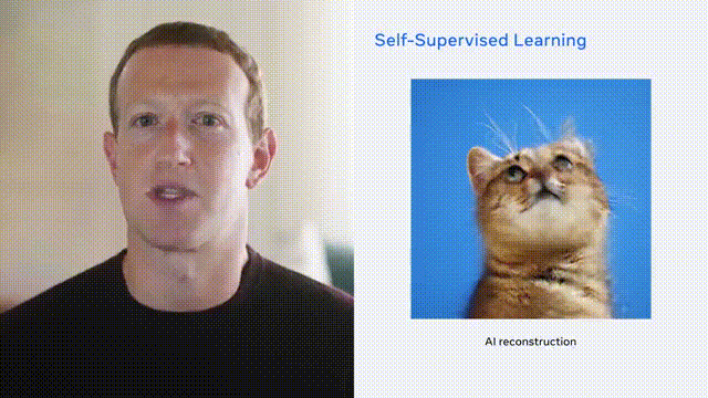2ad6e9b3058efcbb3f9dca877bcfe143.gif