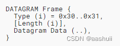 图1 DATAGRAM帧格式