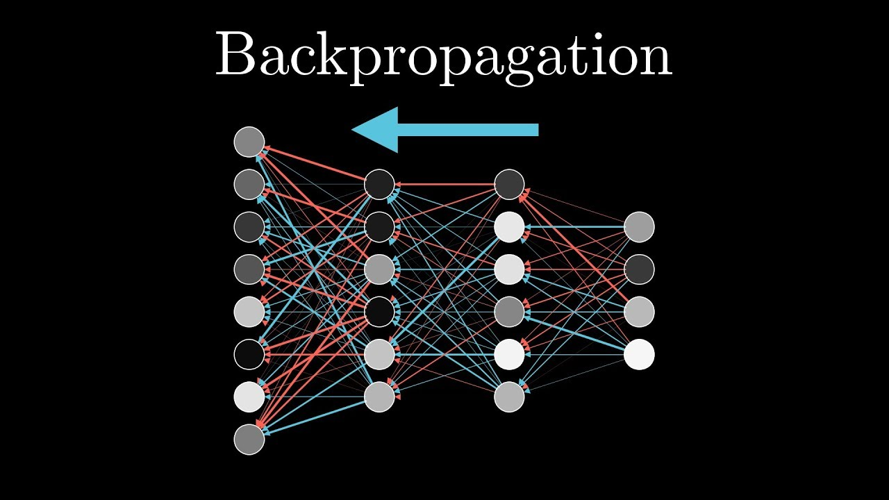 Back Propagation