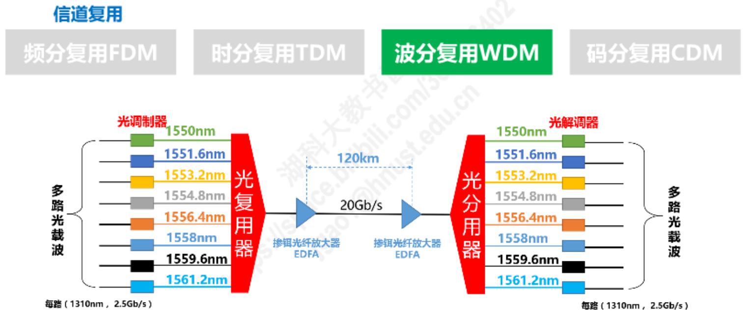 image-20230205110624421