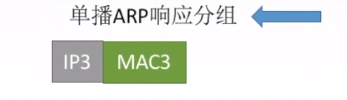 ARP响应分组