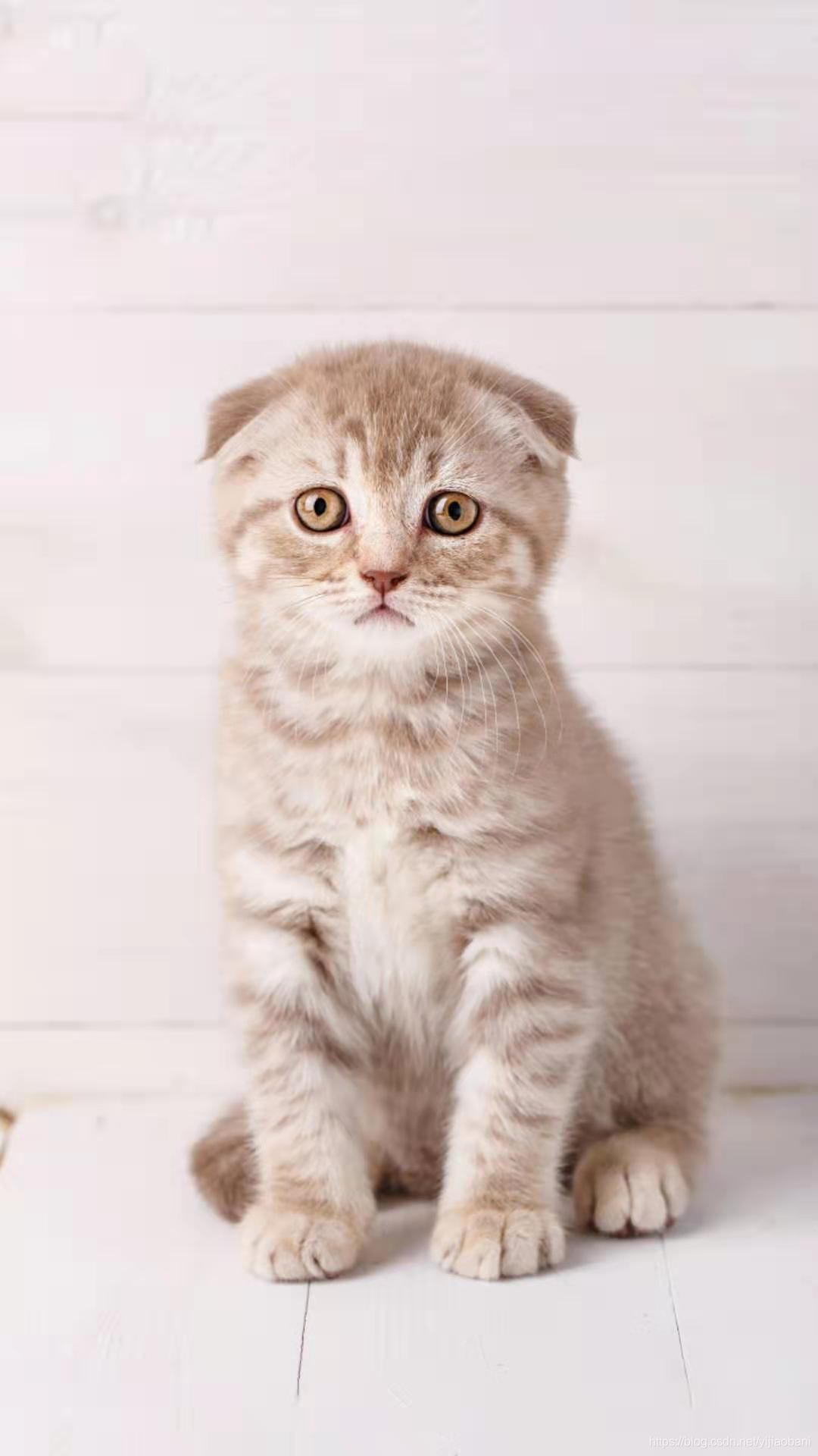 R语言中 判断对象是否存在_error in exists(cachekey, where = .rs.workingdatae-CSDN博客