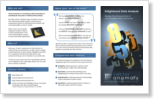 Vector Anomaly Information Brochure Vector Anomaly Information Brochure
