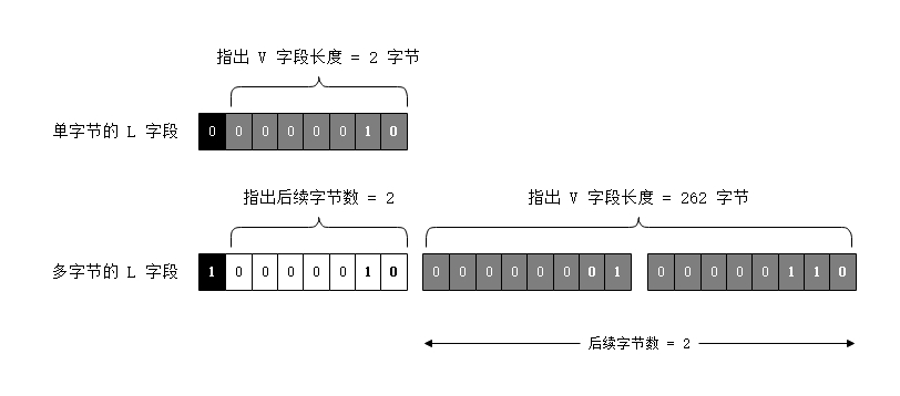 L字段的格式
