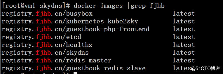 kubernetes集群配置dns服务