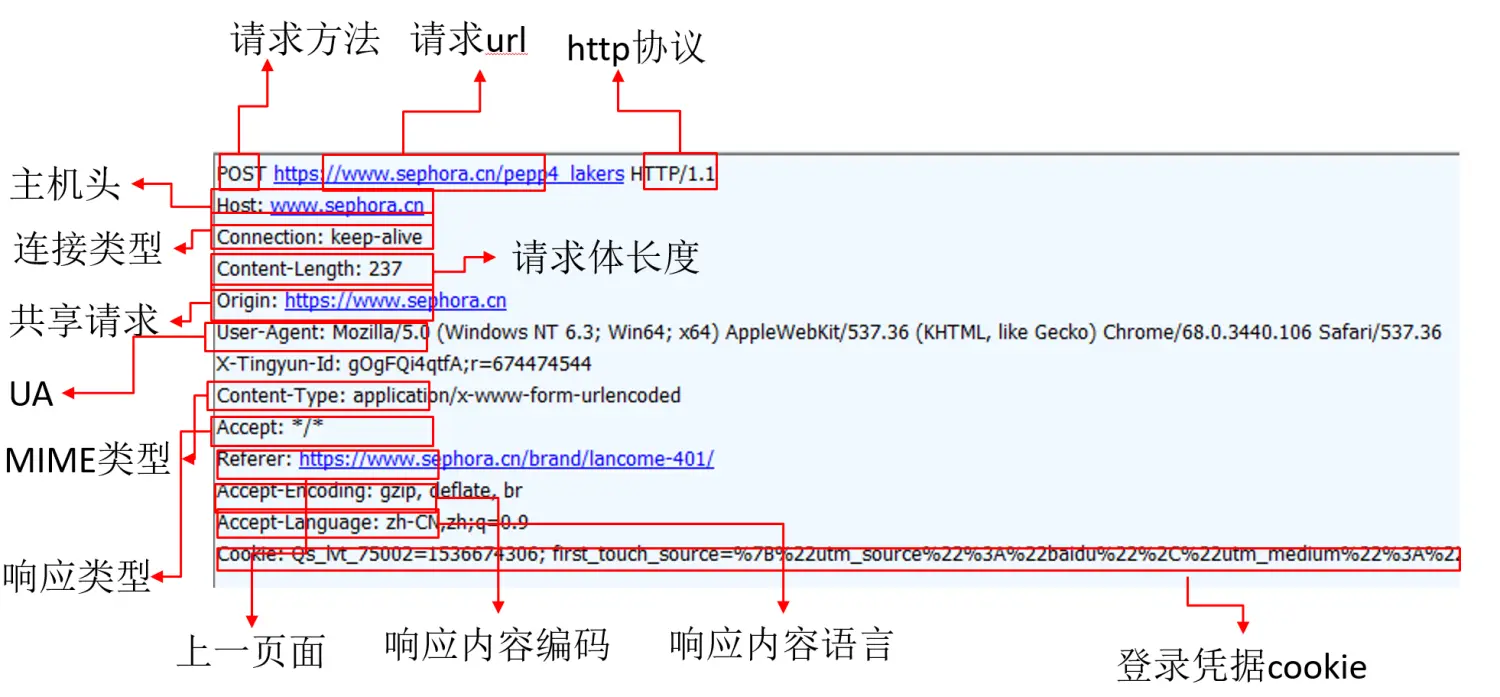 「docker实战篇」python的docker爬虫技术-fiddler抓包软件详细配置（七）