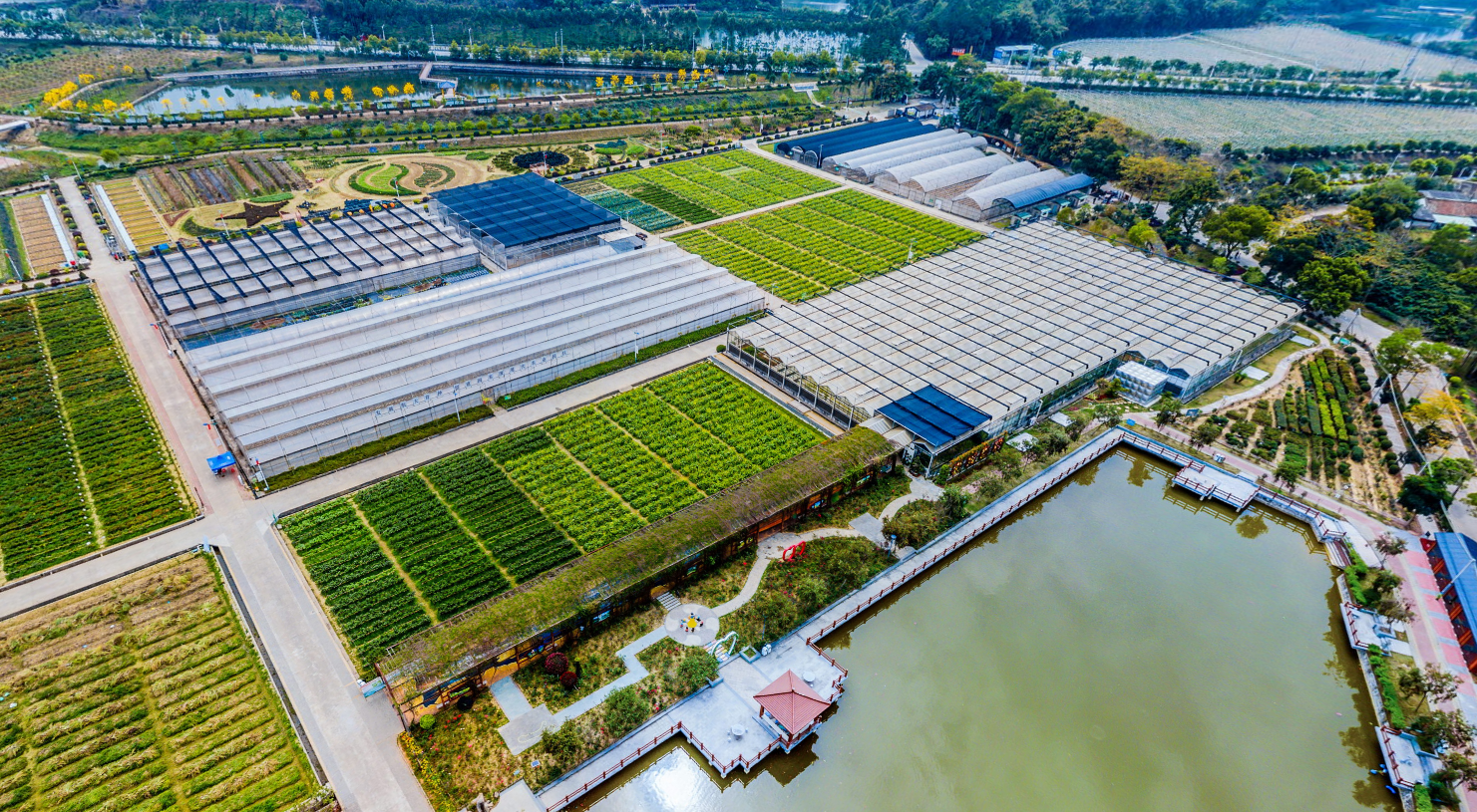 温室大棚冬季管理需要注意什么？这几点很重要