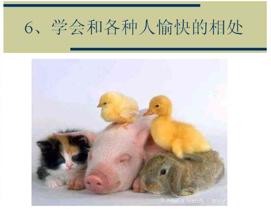 2011020217521923.jpg