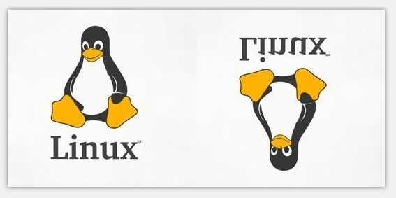 在 Linux 中使用ImageMagick命令行操作图像文件在 Linux 中使用ImageMagick命令行操作图像文件
