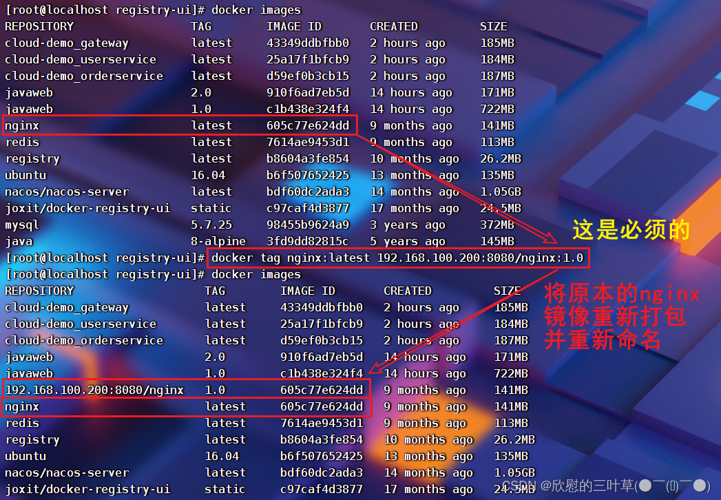 在这里插入图片描述