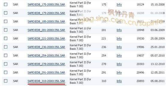 SAP <wbr>Kernel的更新