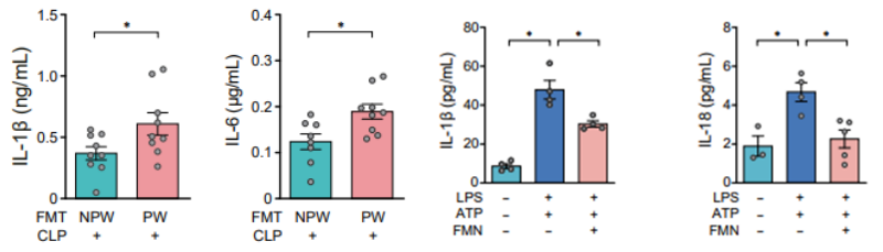 高分文献解读｜妊娠引起的肠道菌群改变驱动巨噬细胞焦亡和脓毒症炎症反应