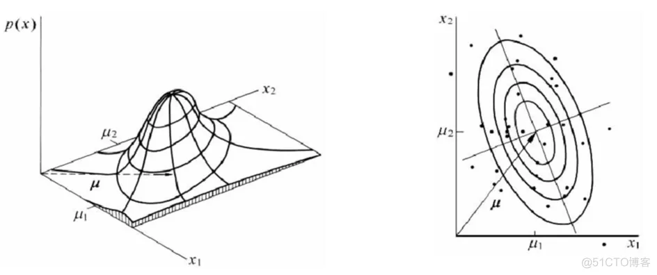 【图像识别】基于贝叶斯分类器实现柑橘识别matlab源码_matlab_04