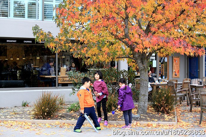 [转载]【纯净新西兰】漫步在童话小镇的秋天