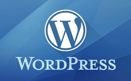 杨泽业：wordpress修改代码没有保存按钮怎么办？
